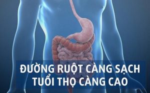 LÀM SẠCH BÊN TRONG CƠ THỂ