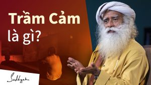 Cái Nhìn Sâu Sắc về Trầm Cảm – Sadhguru